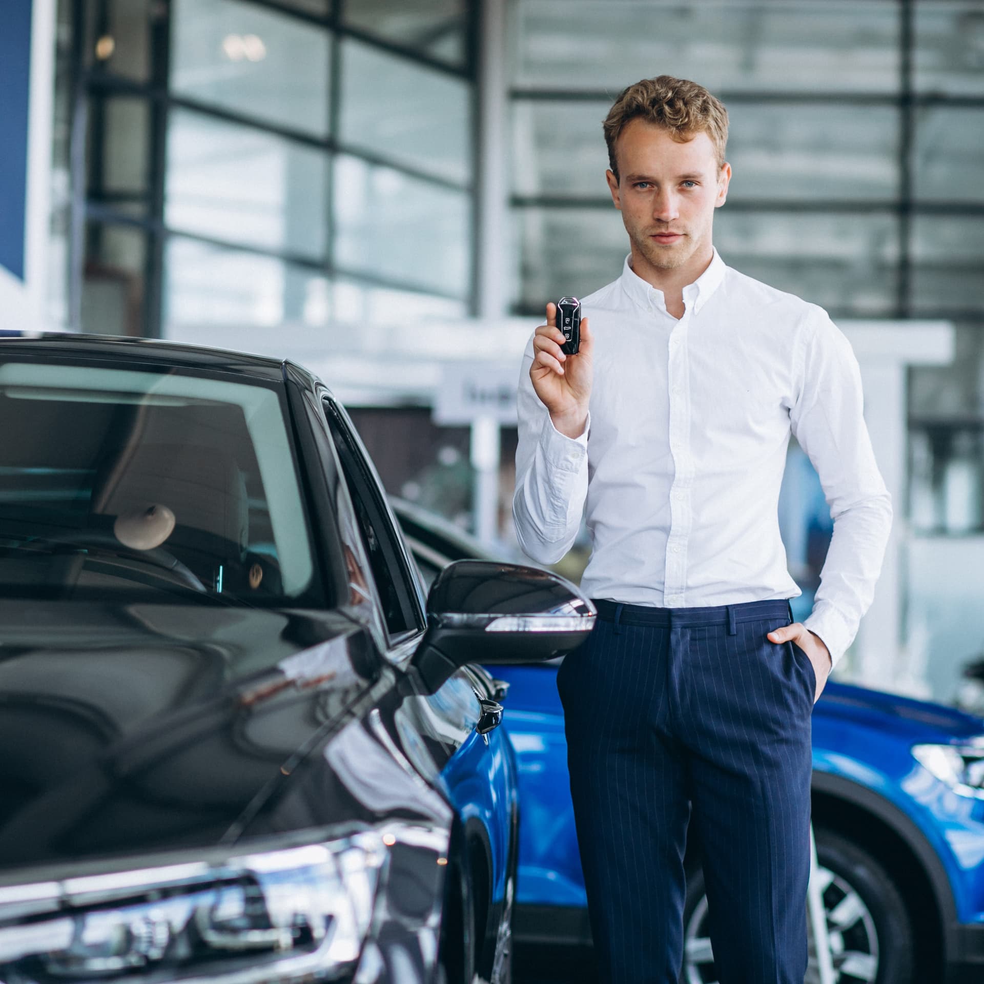 Automotive Dealers